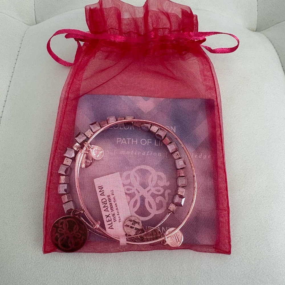 Alex and Ani Silver Path of Life Charm Bracelet Set